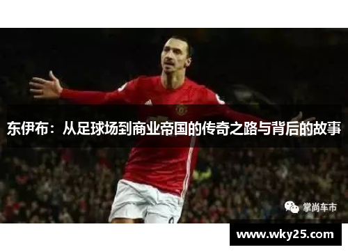 东伊布：从足球场到商业帝国的传奇之路与背后的故事