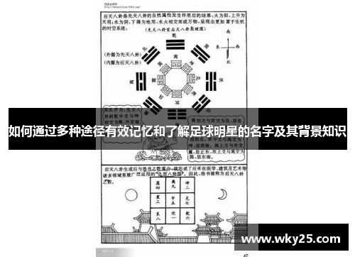 如何通过多种途径有效记忆和了解足球明星的名字及其背景知识