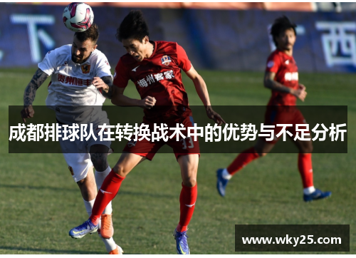成都排球队在转换战术中的优势与不足分析