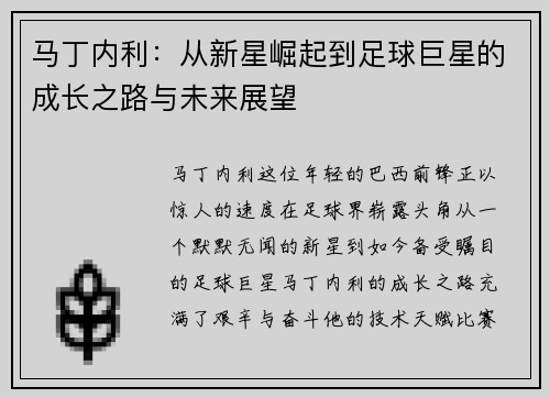马丁内利：从新星崛起到足球巨星的成长之路与未来展望